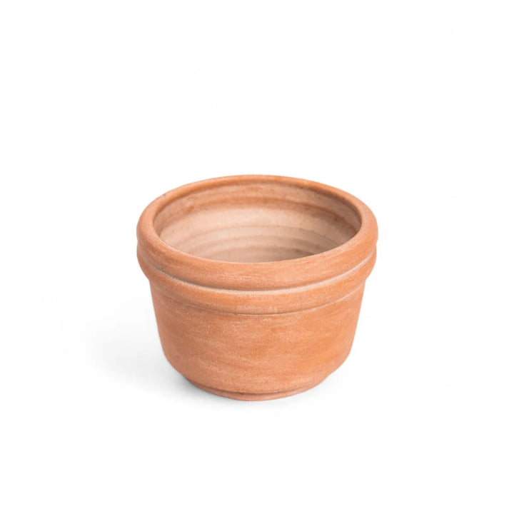 terracotta planter