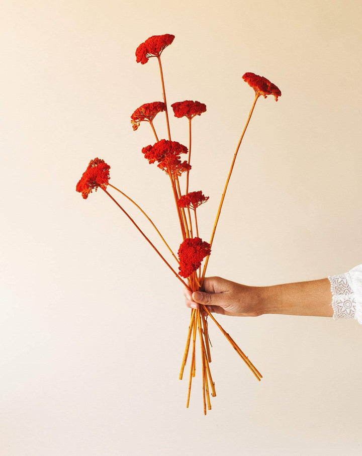 Fall dried flowers -burnt orange